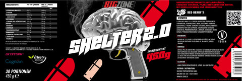 Big Zone Shelter 2.0 (450g)